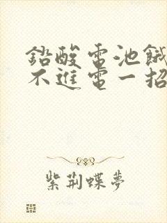 铅酸电池饿死充不进电一招教你激活