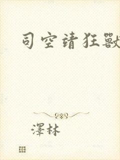 司空靖狂兽战神