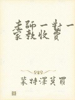 老师一对一上门家教收费