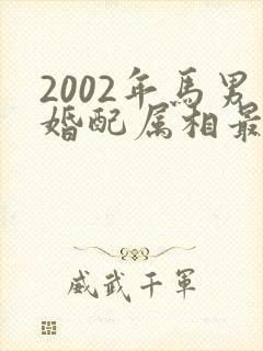 2002年马男婚配属相最好