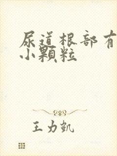 尿道根部有白色小颗粒