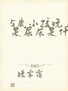 5岁小孩晚上老是尿床是什么原因