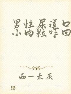 男性尿道口上张小肉粒咋回事