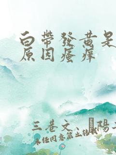 白带发黄是什么原因瘙痒