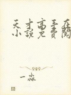 天才高手在都市小说免费阅读全文