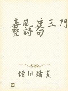 春风度玉门关完整诗句