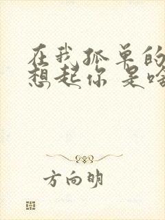 在我孤单的时候想起你 是啥歌