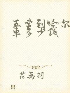 五常到哈尔滨客车多少钱