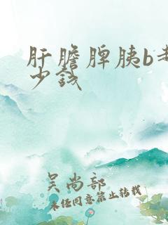 肝胆脾胰b超多少钱