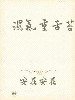 湿气重舌苔黄厚