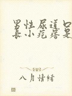 男性尿道口周围长小疙瘩是怎么回事