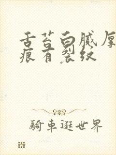 舌苔白腻厚有齿痕有裂纹