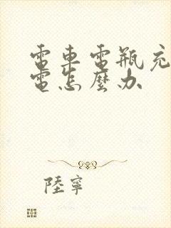 电车电瓶充不进电怎么办