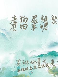 老狗尿频繁是怎么回事呢