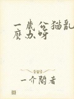 一岁公猫乱尿怎么办呀