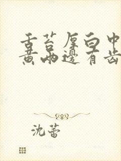 舌苔厚白中间发黄两边有齿痕