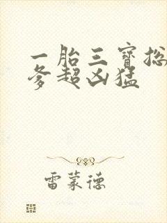 一胎三宝总裁爹爹超凶猛