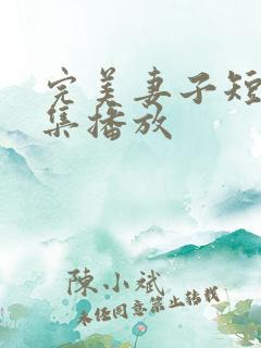 完美妻子短剧全集播放