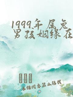 1999年属兔男孩姻缘在哪一年