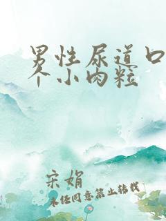 男性尿道口长一个小肉粒