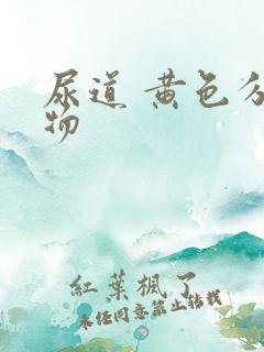 尿道 黄色分泌物