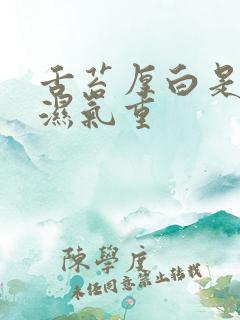 舌苔厚白是哪种湿气重