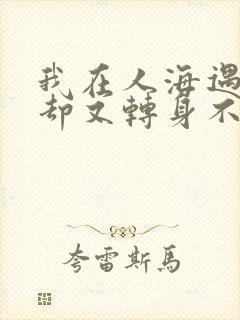 我在人海遇见你却又转身不见你是什么歌