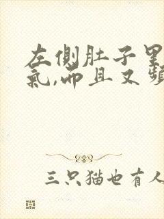 左侧肚子里有胀气,而且又频繁放屁