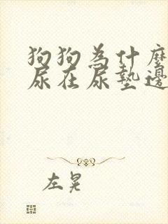 狗狗为什么老是尿在尿垫边缘