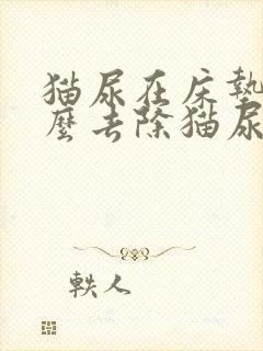 猫尿在床垫上怎么去除猫尿味