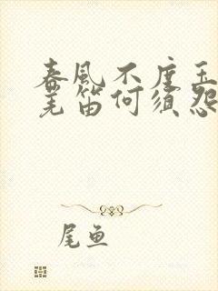 春风不度玉门关羌笛何须怨杨柳