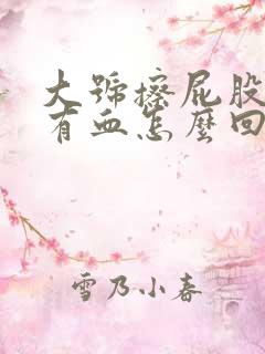 大号擦屁股纸上有血怎么回事