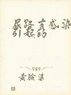 尿路有感染是怎引起的