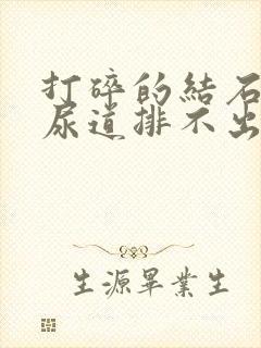 打碎的结石堵在尿道排不出尿怎么办