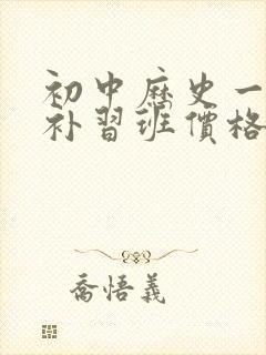 初中历史一对一补习班价格