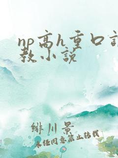 np高h重口调教小说