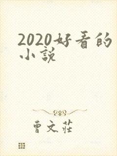 2020好看的小说