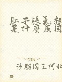 肚子胀气想拉屎是什么原因