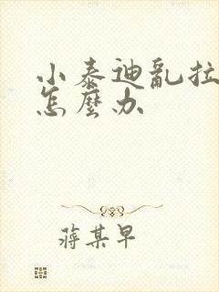 小泰迪乱拉乱尿怎么办