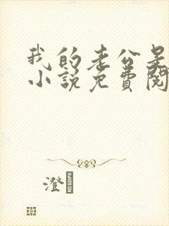 我的老公是酷哥小说免费阅读全文