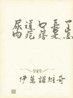 尿道口长了一个肉疙瘩是怎么回事