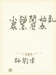 小猫开始乱拉乱尿怎么办