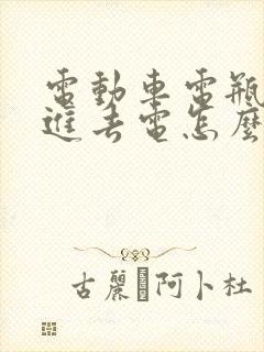 电动车电瓶充不进去电怎么回事