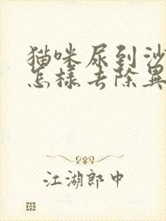 猫咪尿到沙发上怎样去除异味