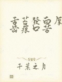 舌苔发白厚腻有齿痕口苦