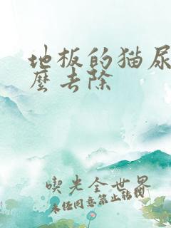 地板的猫尿味怎么去除