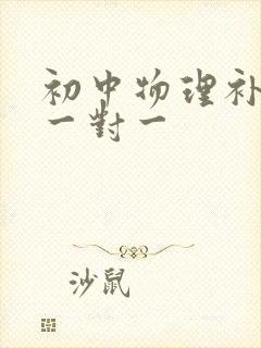 初中物理补课班一对一