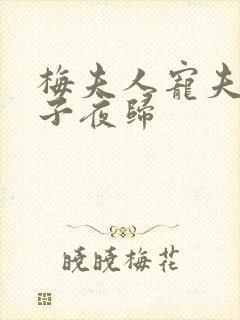 梅夫人宠夫日常子夜归