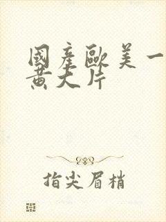 国产欧美一级特黄大片