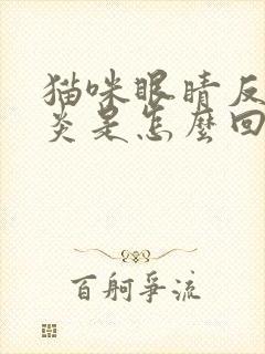 猫咪眼睛反复发炎是怎么回事